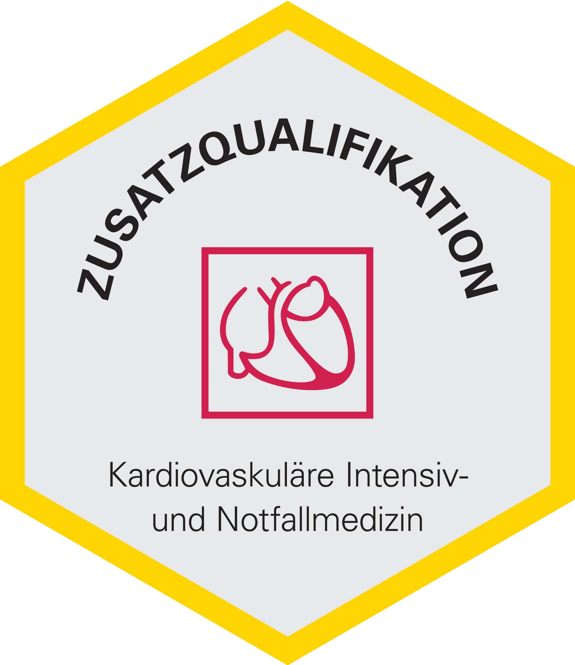 Zusatzqualifikation Kardiovaskuläre Intensiv- und Notfallmedizin